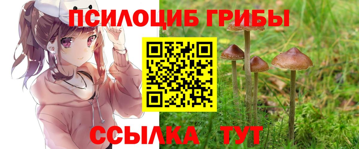 Псилоцибиновые грибы MAGIC MUSHROOMS  Вход с VPN  Псилоцибиновые грибы MAGIC MUSHROOMS  продажа наркотиков  Ангарск 